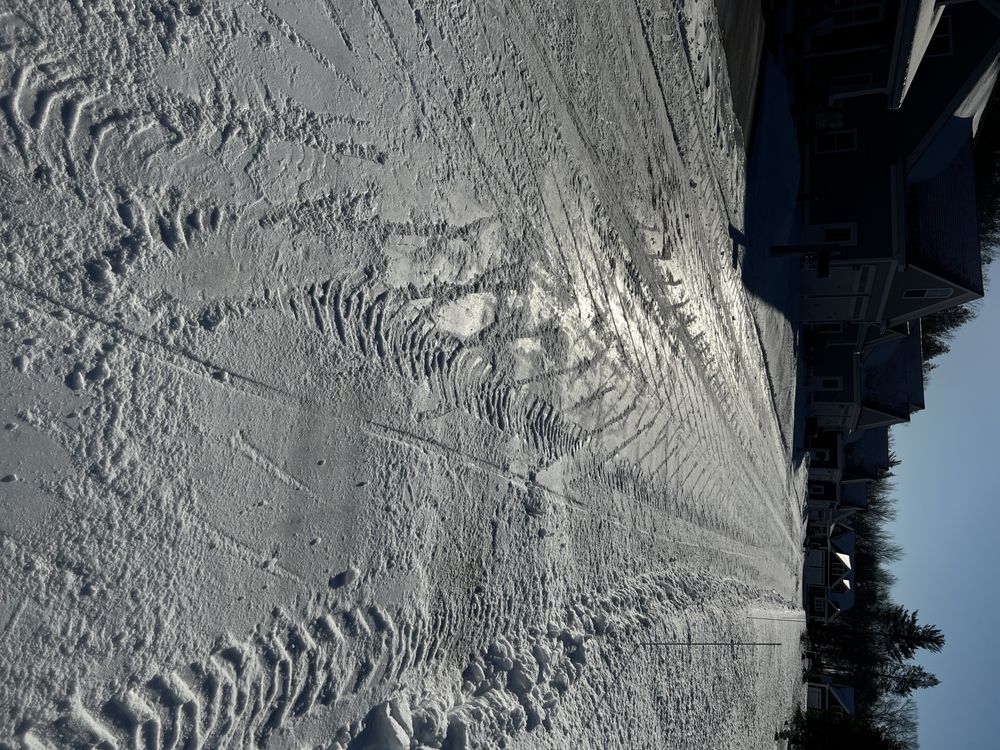 EVERGREEN HARVARD GROUP Updated August 2024 72 Portsmouth Ave