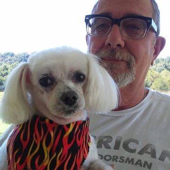 A Barking Lot - Snowball loves to go to A Barking Lot & see Corleen! Look at that great hair cut. - Pet Groomers Near Me - Mount Juliet, Tennessee A Barking Lot - Snowball loves to go to A Barking Lot & see Corleen! Look at that great hair cut. - Pet Groomers Near Me - Mount Juliet, Tennessee