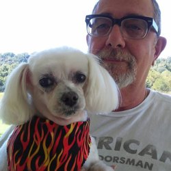 A Barking Lot - Snowball loves to go to A Barking Lot & see Corleen! Look at that great hair cut.