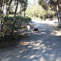 The positive thing was the huge squirrels eating the trash The positive thing was the huge squirrels eating the trash