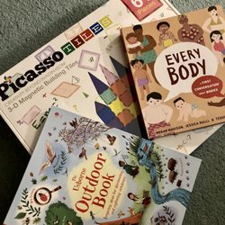 Mischief Toy Store - Picasso tiles and two awesome books I will be giving as a gift.