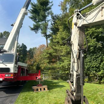 Tommy Tree & Excavation - Tree Services Near Me Tommy Tree & Excavation - Tree Services Near Me