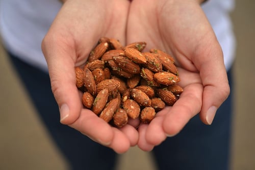 Giddy Up Nuts Logo