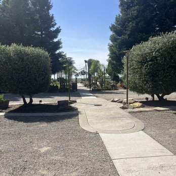 Miner's Leap Winery - Beautiful grounds - Wineries Near Me - Clarksburg, California