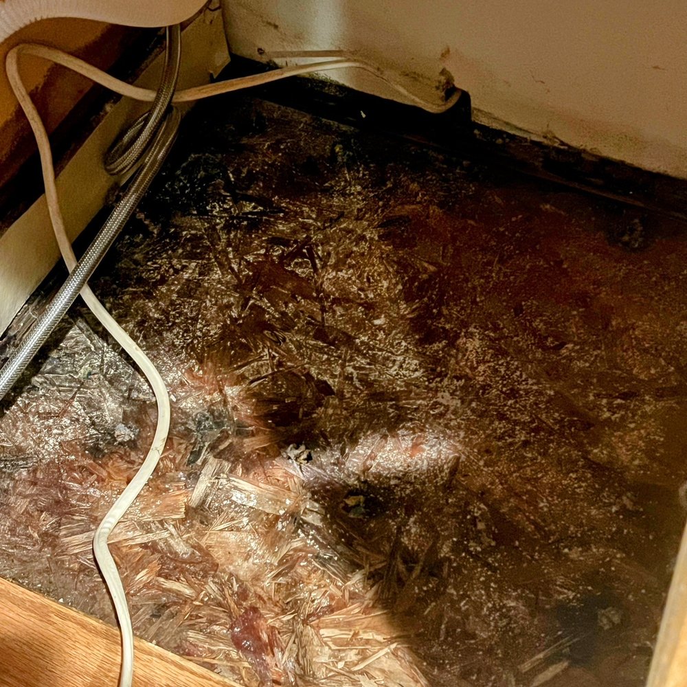 ServiceMaster Restore - floor damage under the dishwasher - Home Cleaning Near Me - St. George, Utah ServiceMaster Restore - floor damage under the dishwasher - Home Cleaning Near Me - St. George, Utah