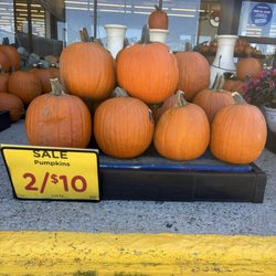 Kroger - Good deals on pumpkins for the early birds!