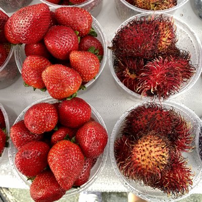 The Green Market at Lincoln Road by null