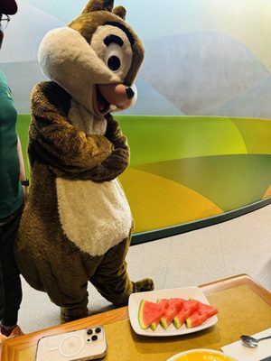 Garden Grill Restaurant by null