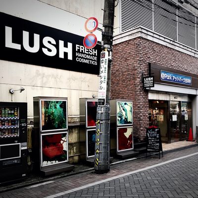 LUSH ラッシュ　まとめ売り16点 楽天市場】公式 LUSH オールザベスト ギフト セット 人気