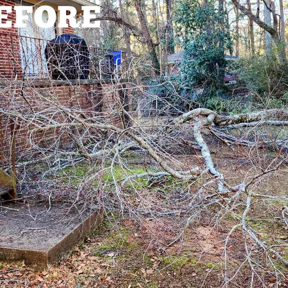 Asah Tree Service - Tree Services Near Me - Acworth, Georgia
