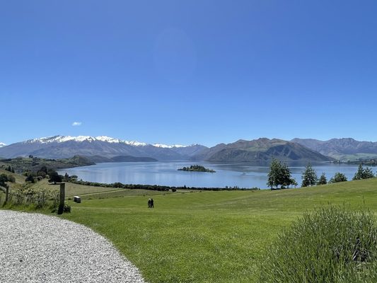 Rippon by null