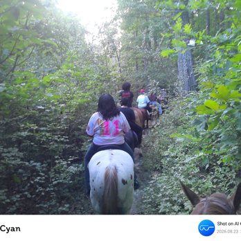 Recovery Equestrian Facility - Horseback Riding Near Me - Spotsylvania, Virginia Recovery Equestrian Facility - Horseback Riding Near Me - Spotsylvania, Virginia