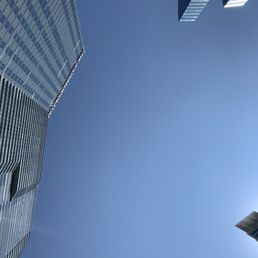 When you float in the pool, this is your view. When you float in the pool, this is your view.