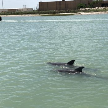 Fins To Feathers - Tours Near Me - Port Isabel, Texas