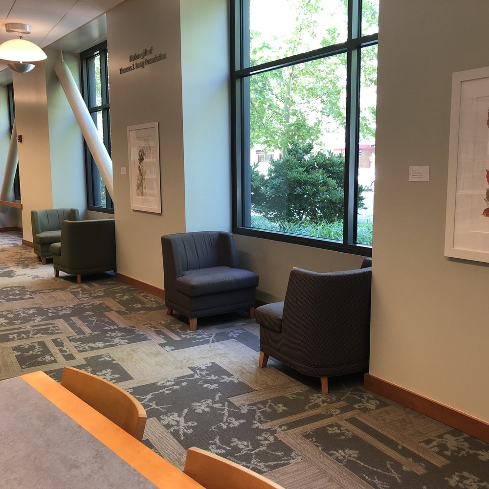 Walnut Creek Library - Saturday, June 22, 2019: comfortable window seating. - Libraries Near Me - Walnut Creek, California Walnut Creek Library - Saturday, June 22, 2019: comfortable window seating. - Libraries Near Me - Walnut Creek, California