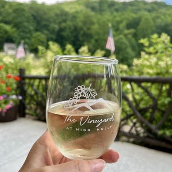 The Vineyard at High Holly - Enjoying a glass of Sauvignon Blanc ~ Cheers to America ~ Happy 4th - Venues & Event Spaces Near Me - Scaly Mountain, North Carolina The Vineyard at High Holly - Enjoying a glass of Sauvignon Blanc ~ Cheers to America ~ Happy 4th - Venues & Event Spaces Near Me - Scaly Mountain, North Carolina