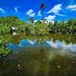 Hammock State Park