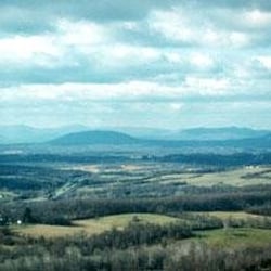 Bull Run Mountain Vegetable Farm