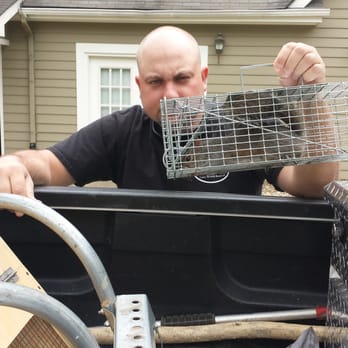 Cain's Wildlife Removal - Squirrels in your attic call us 770-710-3361 - Pest Control Near Me - Jasper, Georgia Cain's Wildlife Removal - Squirrels in your attic call us 770-710-3361 - Pest Control Near Me - Jasper, Georgia