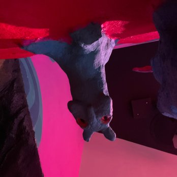 Meow Wolf - Cliff cat: Can you find this at Meow Wolf Denver? - Venues & Event Spaces Near Me - Denver, Colorado
