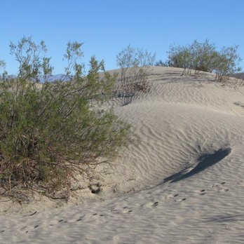 Mesquite Flat Dunes - Parks Near Me