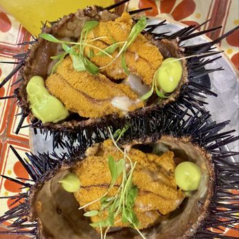 Holbox - Sea Urchin Uni over scallops ceviche - Latin American Near Me - Los Angeles, California