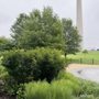 Photo of German-American Friendship Garden