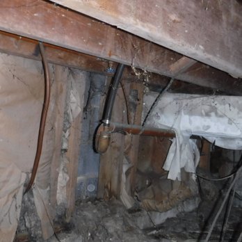 Preferred Home Inspections - Mold, asbestos, rodents, moisture issues...yumm! - Home Inspectors Near Me Preferred Home Inspections - Mold, asbestos, rodents, moisture issues...yumm! - Home Inspectors Near Me