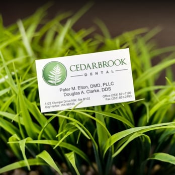 Peter Elton, DMD - Cedarbrook Dental - Oral Surgeons Near Me - Gig Harbor, Washington Peter Elton, DMD - Cedarbrook Dental - Oral Surgeons Near Me - Gig Harbor, Washington