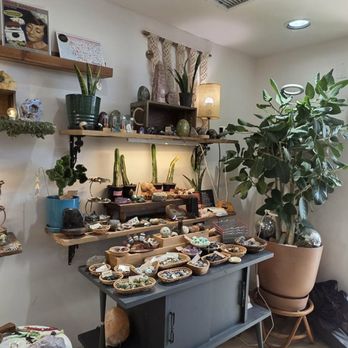 Salt Your Soul Gift - Gift Shops Near Me - Sarasota, Florida Salt Your Soul Gift - Gift Shops Near Me - Sarasota, Florida