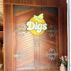 Digs