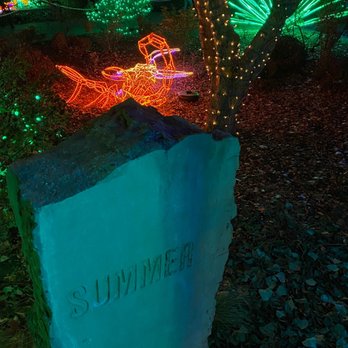 River Of Lights - Festivals Near Me - Albuquerque, New Mexico