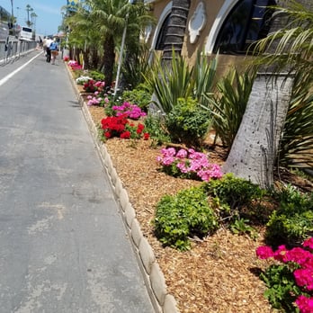 Del Mar Racetrack - Colorful walkway on the way to the front gate. - Race Tracks Near Me - Del Mar, California Del Mar Racetrack - Colorful walkway on the way to the front gate. - Race Tracks Near Me - Del Mar, California