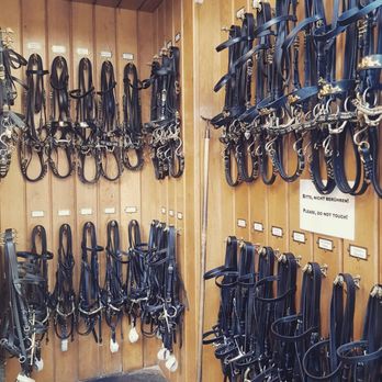 Spanish Riding School - Performing Arts Near Me - Vienna, 9