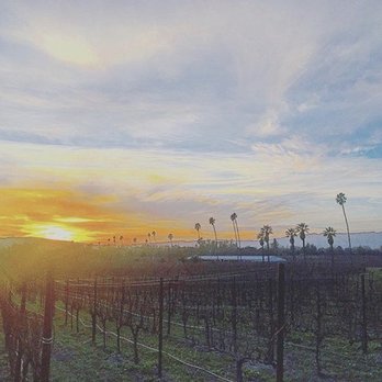Scribe Winery - Wineries Near Me - Sonoma, California Scribe Winery - Wineries Near Me - Sonoma, California