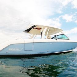 Best Boat Club and Rentals - Tour on our Prestige Tour Boston Whaler