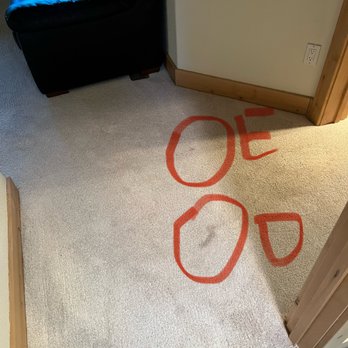 Sierra ProClean - Some random spot outside of my laundry room? These look like dirty water dripping or something? - Chimney Sweeps Near Me Sierra ProClean - Some random spot outside of my laundry room? These look like dirty water dripping or something? - Chimney Sweeps Near Me