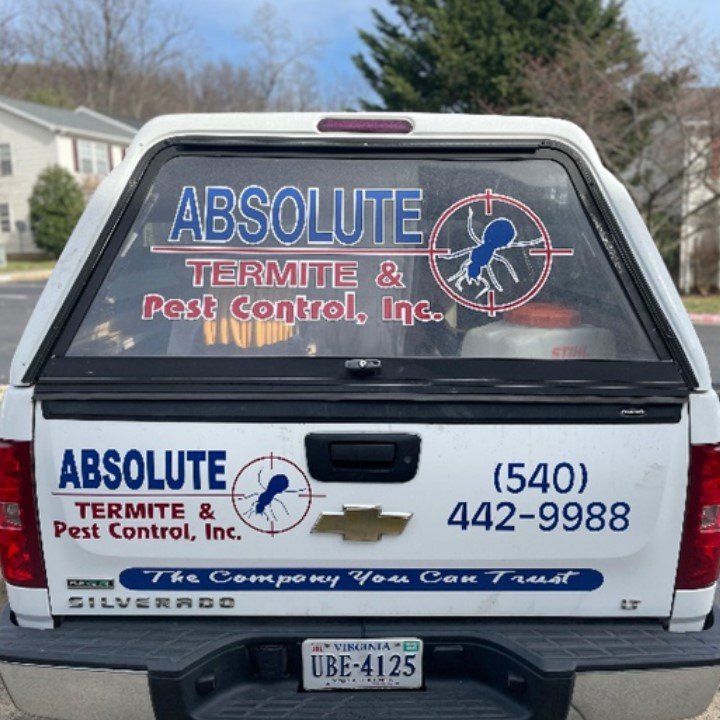 ABSOLUTE TERMITE & PEST CONTROL Updated May 2024 Request a Quote