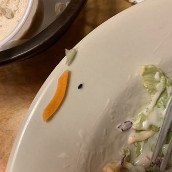 Texas Roadhouse - Bug - Barbeque Near Me - Phoenix, Arizona Texas Roadhouse - Bug - Barbeque Near Me - Phoenix, Arizona