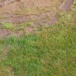 a hole in the grass a hole in the grass