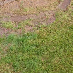 Pro Cut Landscaping