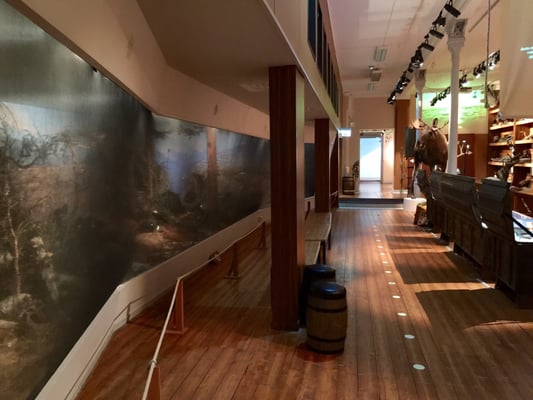 NTNU Vitenskapsmuseet by null