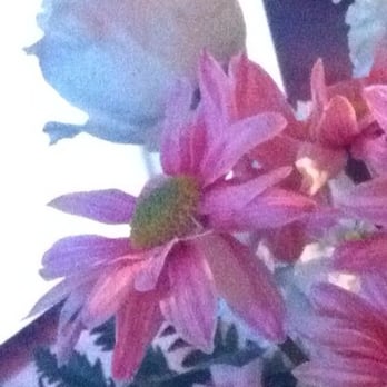 Grand Florist - Dying daisies with petals half fallen off on my Mother's Day arrangement.  I was embarrassed to give these to mom. - Florists Near Me - Glendora, California