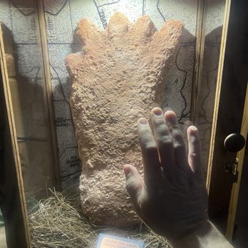 Expedition Bigfoot - Museums Near Me - Blue Ridge, Georgia Expedition Bigfoot - Museums Near Me - Blue Ridge, Georgia