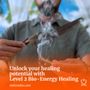 Michael D'Alton's Bio Energy Healing