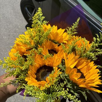 Magic Flower Shop - Sunflowers - Florists Near Me - Los Angeles, California Magic Flower Shop - Sunflowers - Florists Near Me - Los Angeles, California