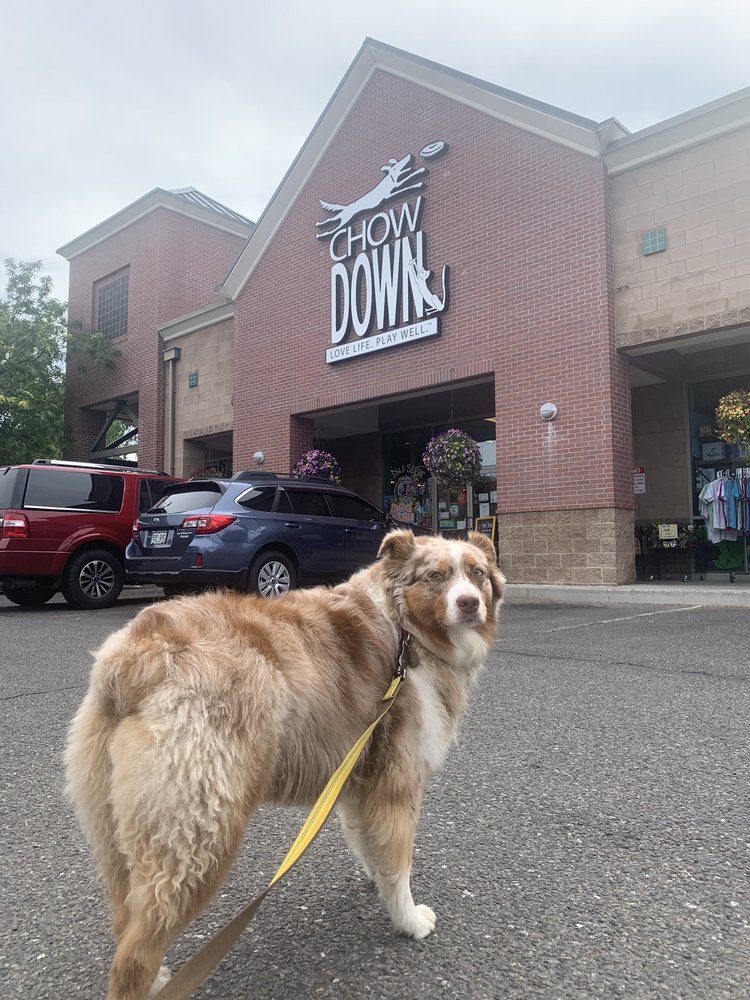 CHOW DOWN PET SUPPLIES Updated August 2024 20 Photos & 28 Reviews