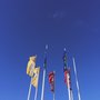 Photo of IKEA Forus