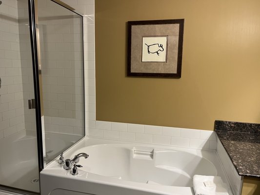 Spirit Ridge - The Unbound Collection by Hyatt by null