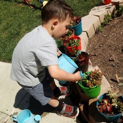 The Learning Torch Preschool